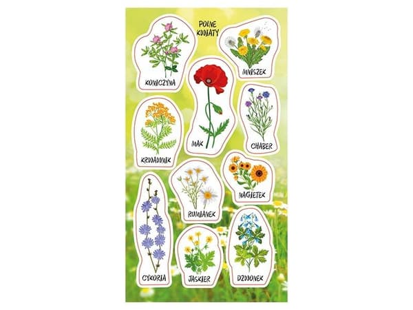 Vildblommor klistermärken