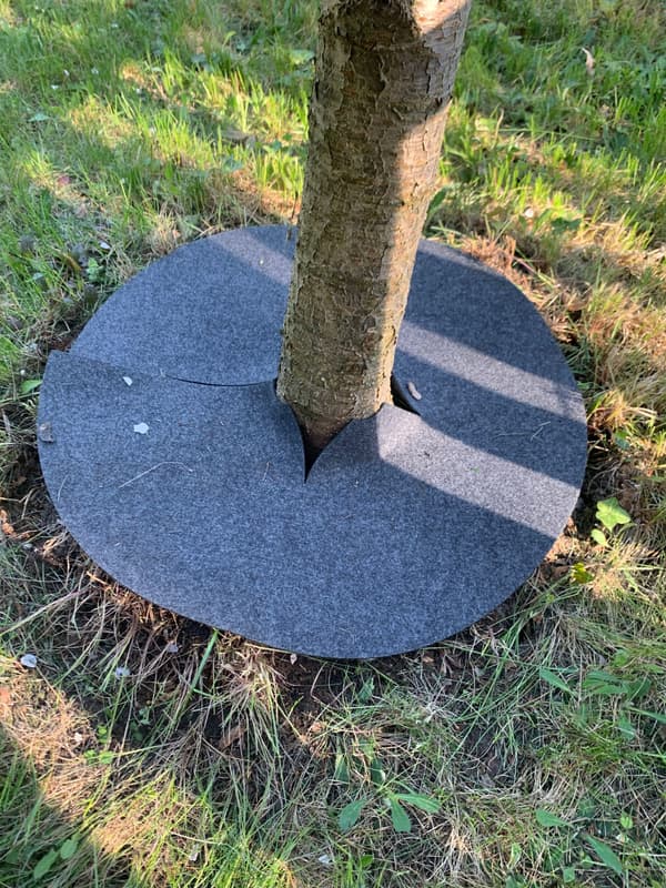Set med 3 ogräsklipparskivor, mulching, grå, diameter 26 cm