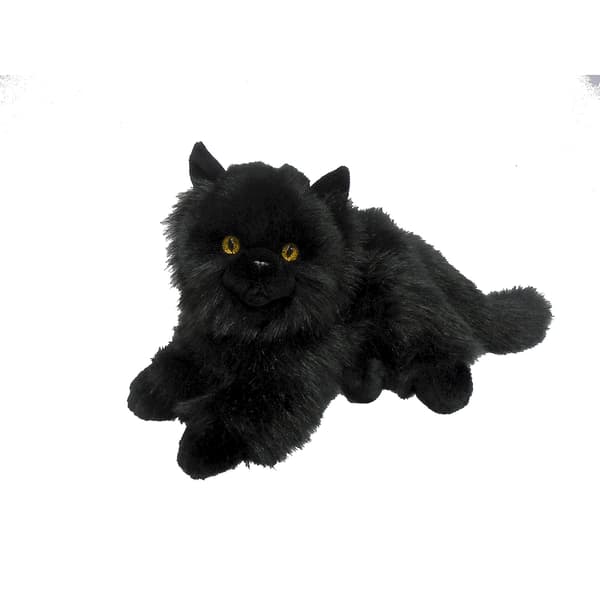 SVART KATT