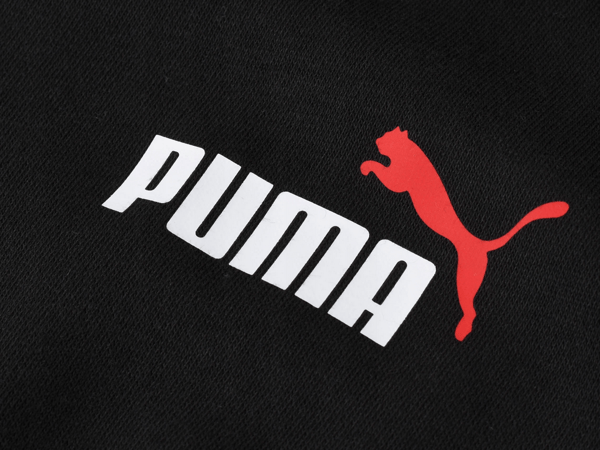 Puma Herre Ess 2 [679633 01] rL
