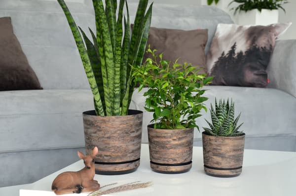 RUSTEN BARK POTTE DIAMETER 16 CM RUSTEN BARK