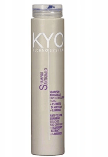 KYO Techno System Anti-gul Shampoo 250 ml