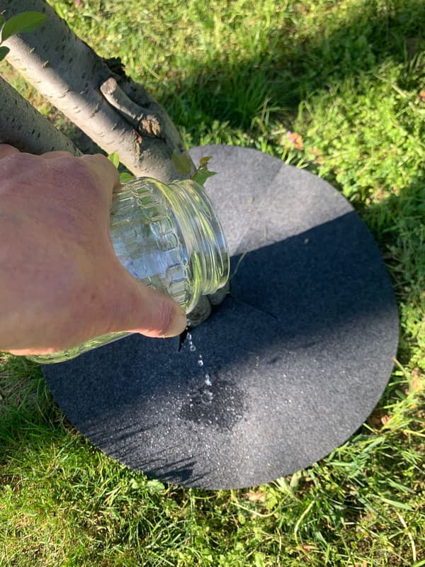 Filtskive til beskyttelse mod ukrudt, bioklip, grafit, diameter 50 cm