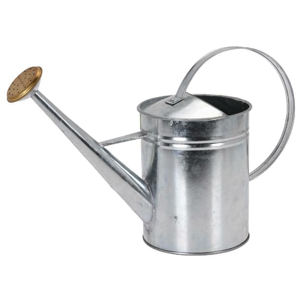 Sinkitty metallinen kastelukannu 1,9 l