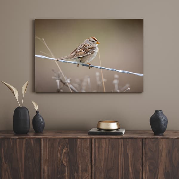Lærredstryk Dyr Spurv 100x80 cm