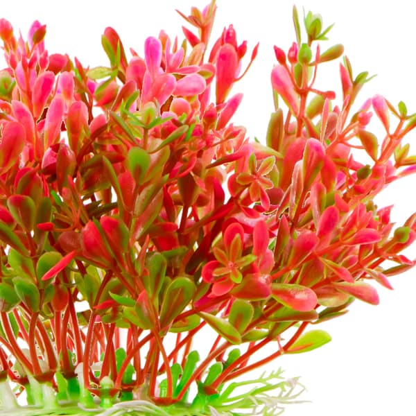 Kruger Meier Plant Fluo Big - tekokasvi