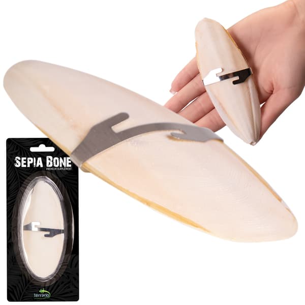 Terrario Sepia Bone - sepia 24 stk