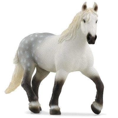 Percheron-tamma