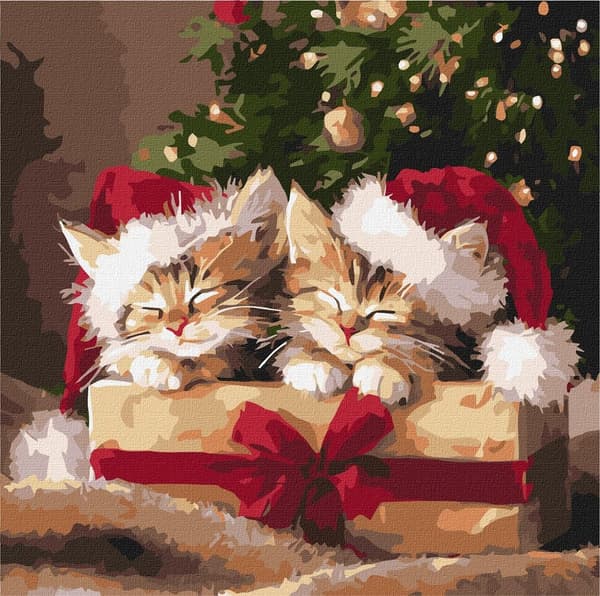 Maleri efter tal - Fluffy gaver 40x40cm