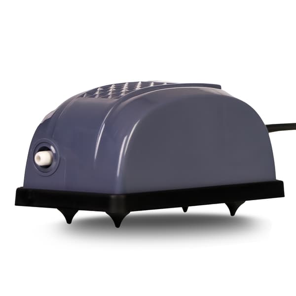 Jingye Beetle One Air - belufter