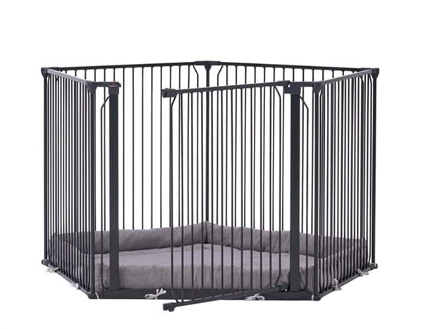 Baby Dan - Carl Pentagon Kravlegård, Sort
