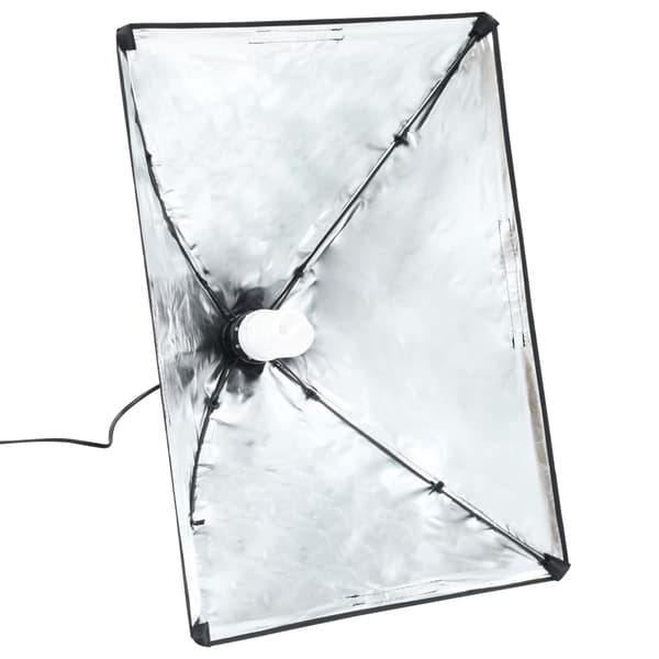 vidaXL Valokuvausstudiosetti softbox-valoilla ja taustalla