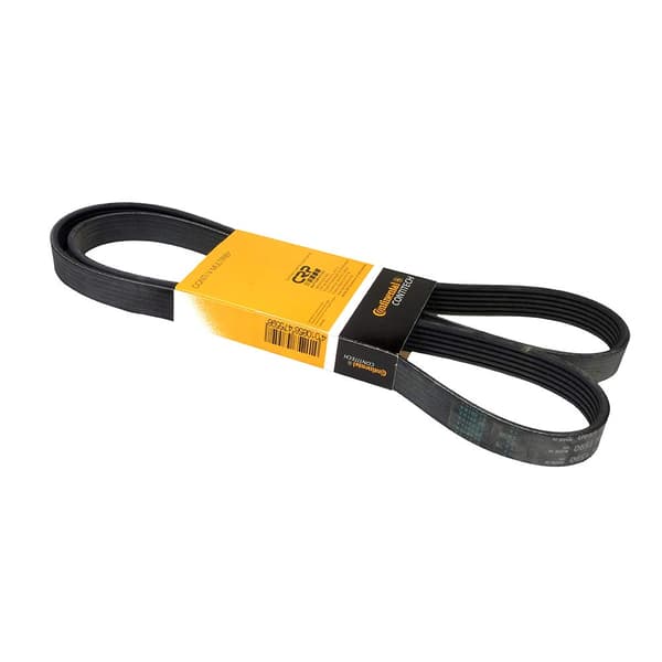 CONTITECH 6 PK 1590 multiribbet rem