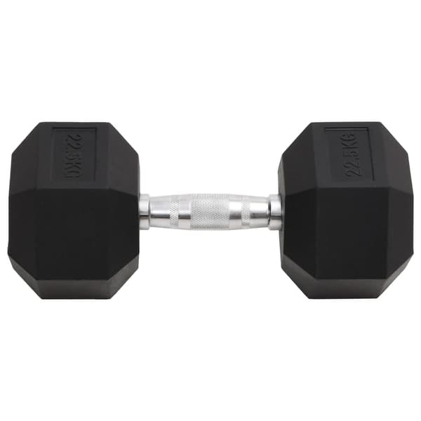 vidaXL Käsipaino, 22,5 kg, valurauta