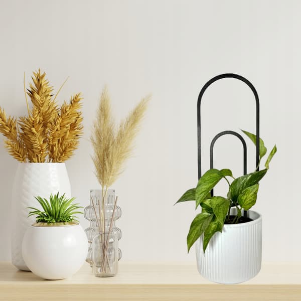 Stöd för klätterväxter Stöd för klätterblommor Pergolastege 38 cm