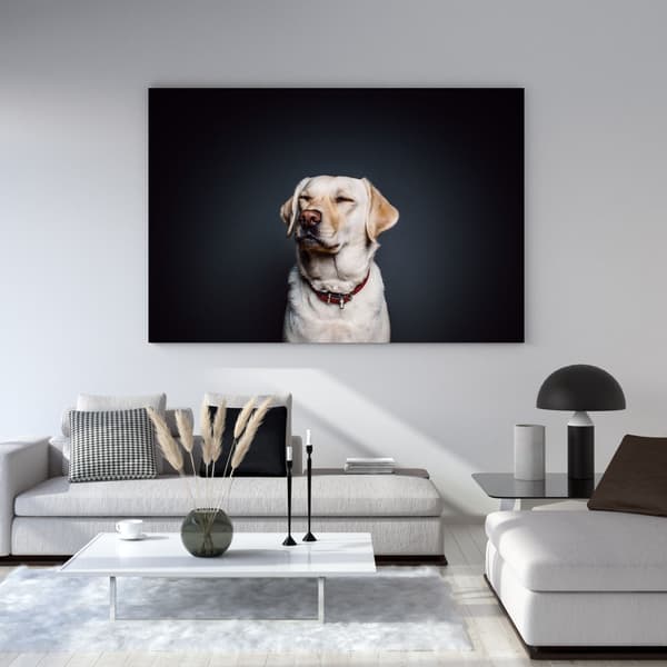 Lærredstryk Dyr Labrador 135X45 cm
