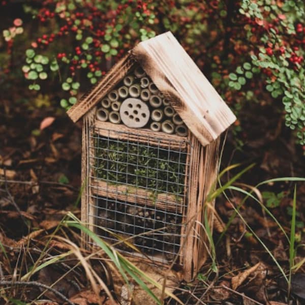 Insekthotel Træhus til Murerbier 3 Rum 19x9x28cm