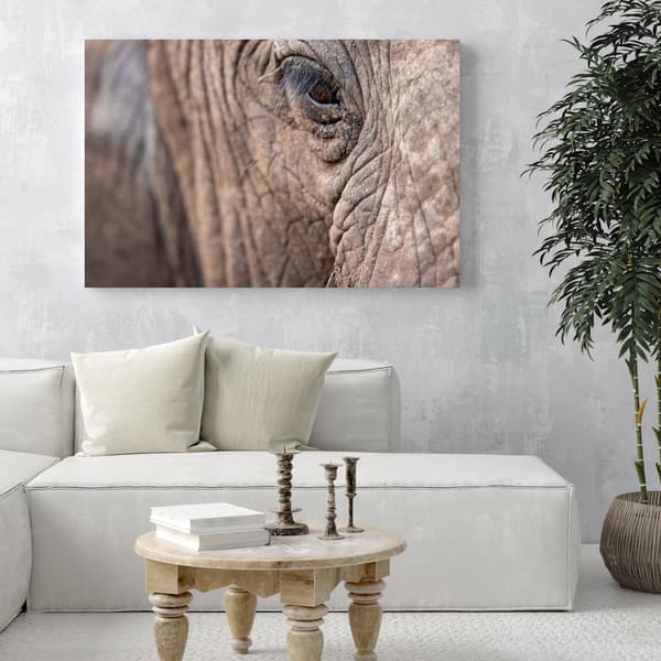 Lærredstryk Dyr Elefantøje 80x50 cm