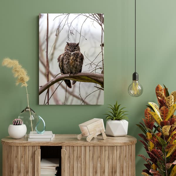 Canvastaulu Eläimet Pöllö oksalla 40x60 cm