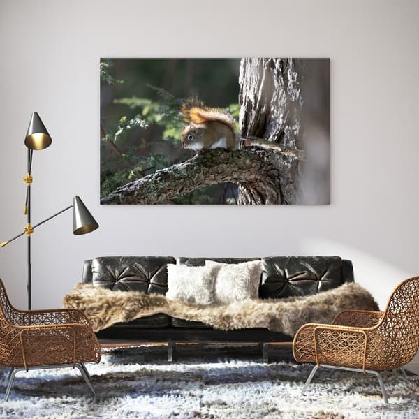 Lærredstryk Dyr Egern 120x60 cm