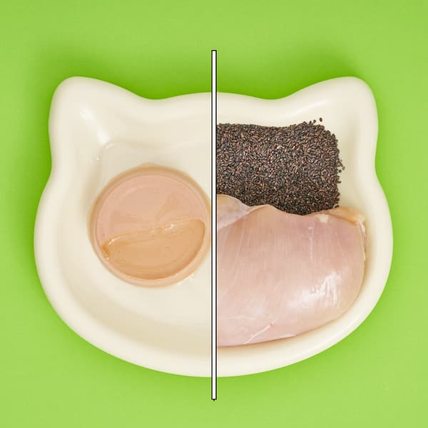 Våtfoder för katter Kycklingpaté med kaka Delicious Pâté UniQ Pets 8x30g