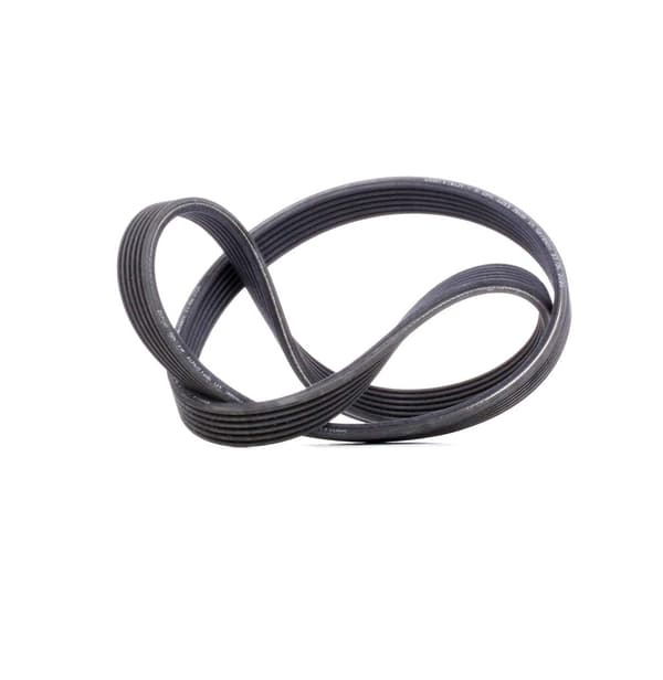 CONTITECH 6 DPK 1215 flerribbat band