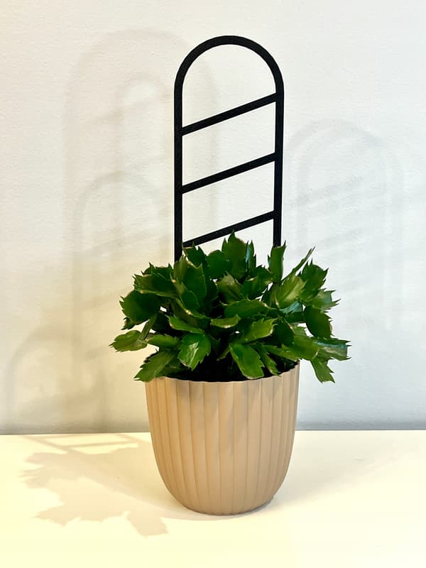 Stöd för klätterväxter Stöd för klätterblommor Pergolastege 38 cm