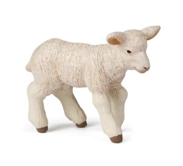 Lampaat