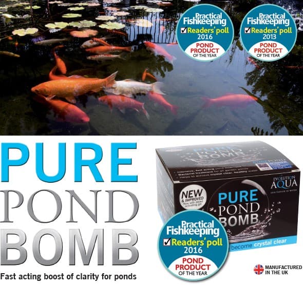 Evolution Aqua PURE -lammenpommi - bakteerit lammikolle