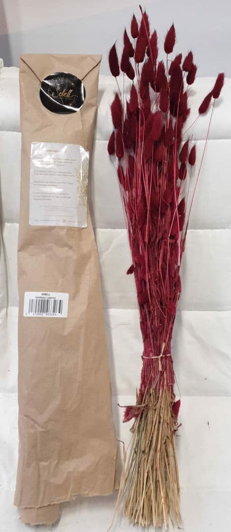Tørret buket af Lagurus bordeaux græsblade 40-70 cm