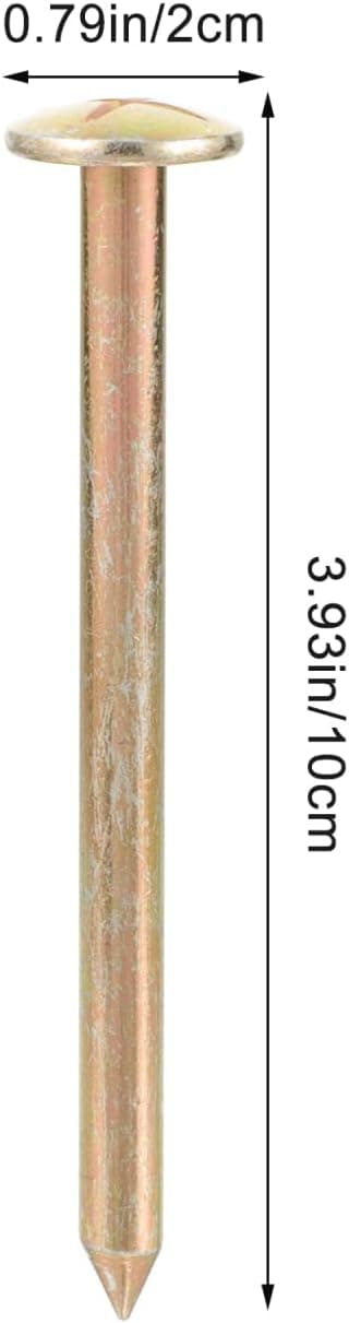 10 x Rostfria Stålspik 10 cm