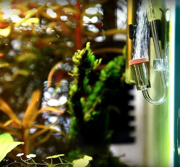 NEO-diffuusori M - akryylikeraaminen CO2-diffuusori 17 mm