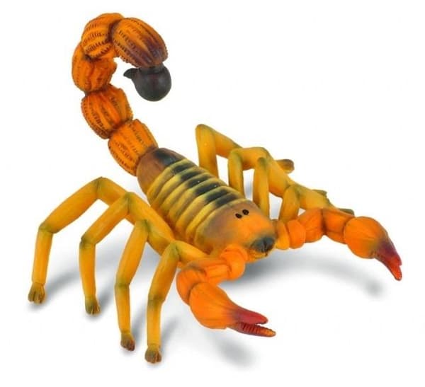 Skorpioni