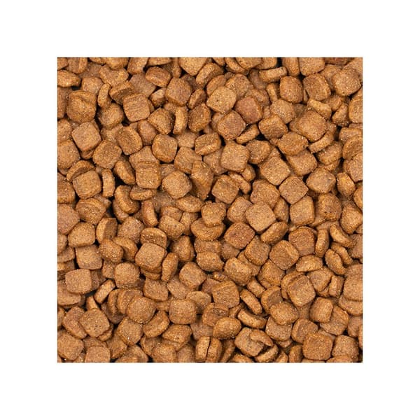 Voskes Adult Chicken - tørfoder til voksne katte med kylling 2 kg