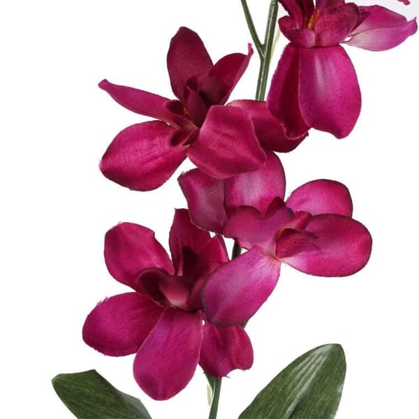 ORKIDEGRÆS BURGUNDY 66 CM