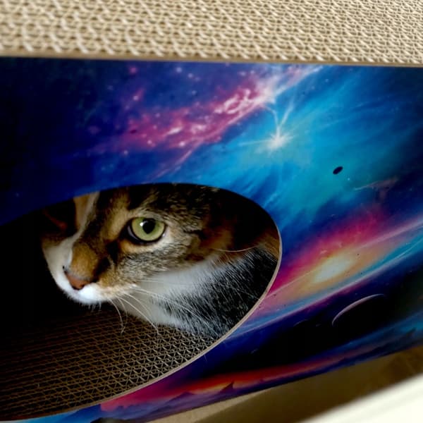 Kosmos kradsetræ til katte | 53x28x30 cm | MruuPruu