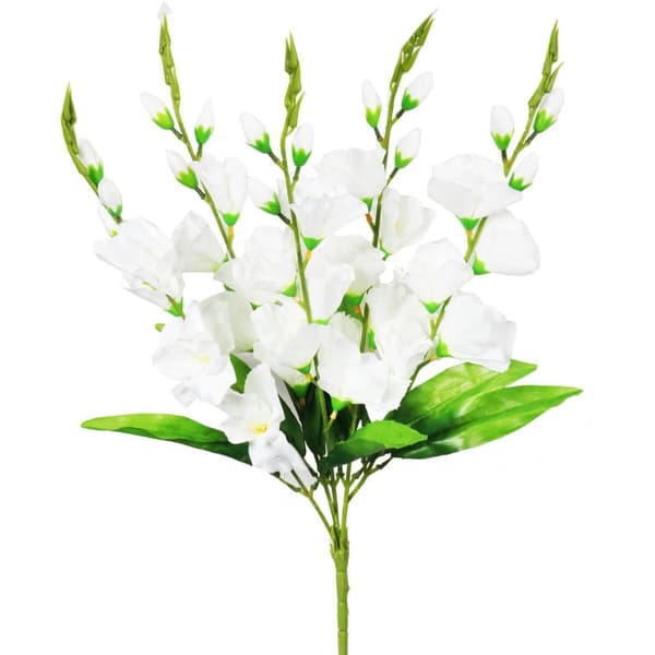 Fem hvide gladioler - Buket, højde 60 cm