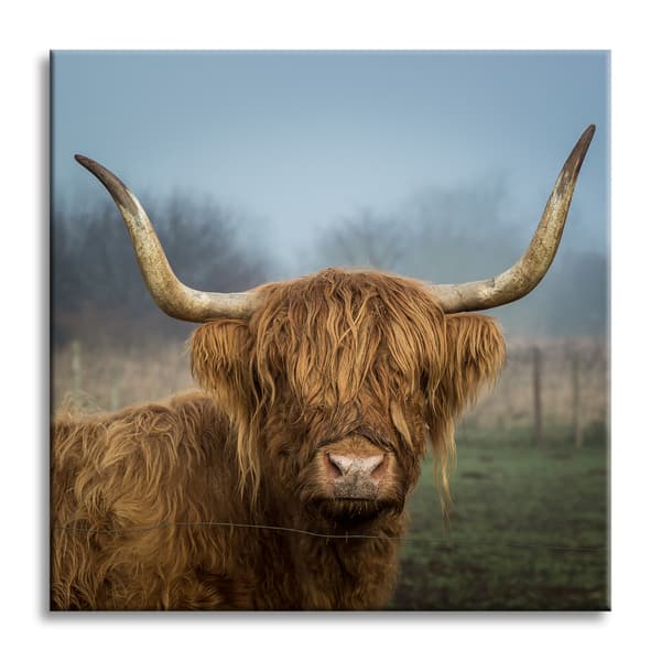 Lærredstryk Dyr Ko 90x90 cm