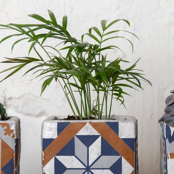 Beton urtepotte Azulejos 11cm