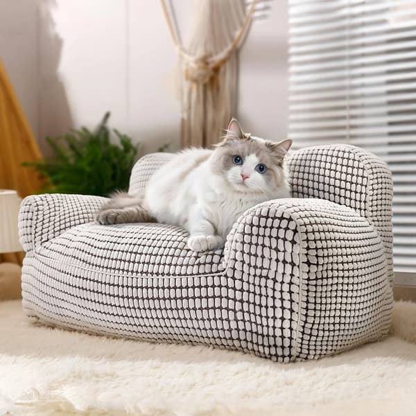 Premium avkopplande kattsoffa