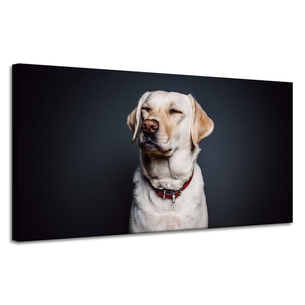 Lærredstryk Dyr Hund Sort baggrund 120X60
