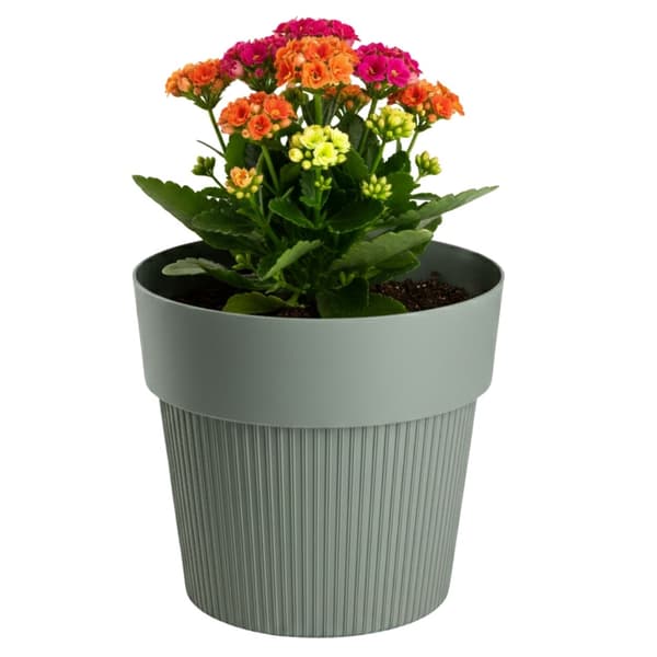 SILVA LINE återvunnet grågrönt blomkrukuset, 4 delar.