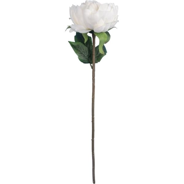 Pæon 50 cm Hvid