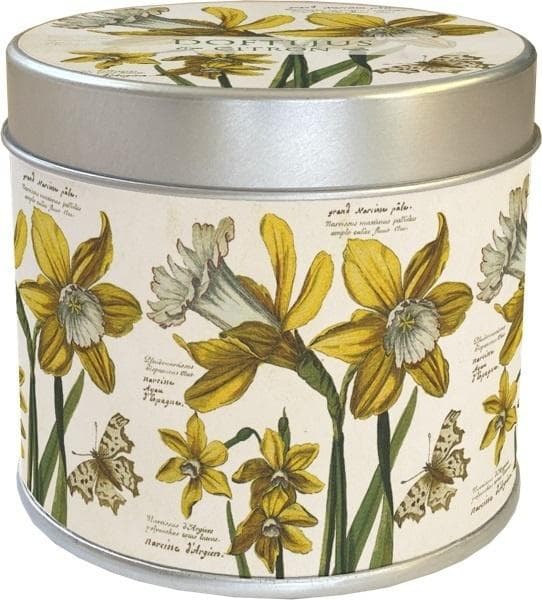 Duftlys 236 påskeliljer - citronduft