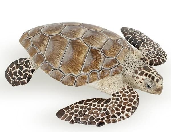Uægte skildpadde