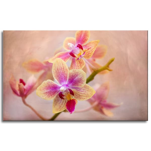 Lærredstryk Botanik Blomst Orkidé 80x50 cm