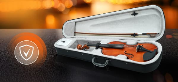MM-VN100 SonataVibes 3/4 violin