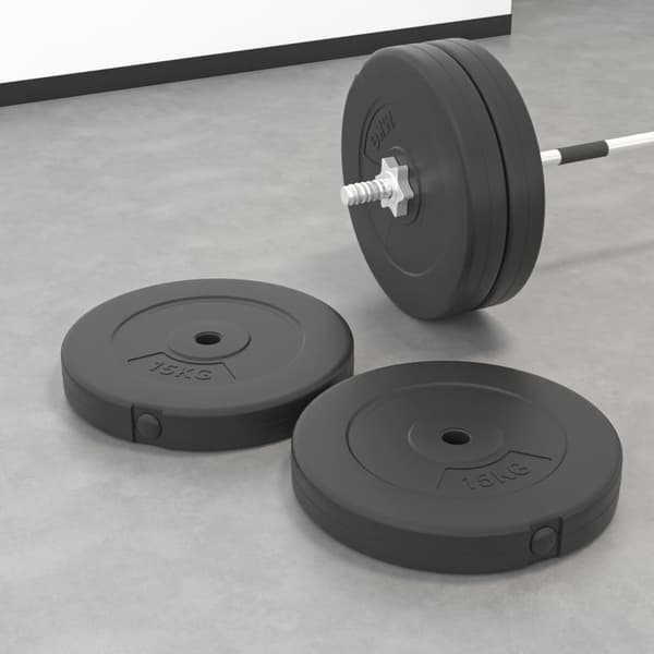 vidaXL vægtskiver, 2 stk., 30 kg, cement