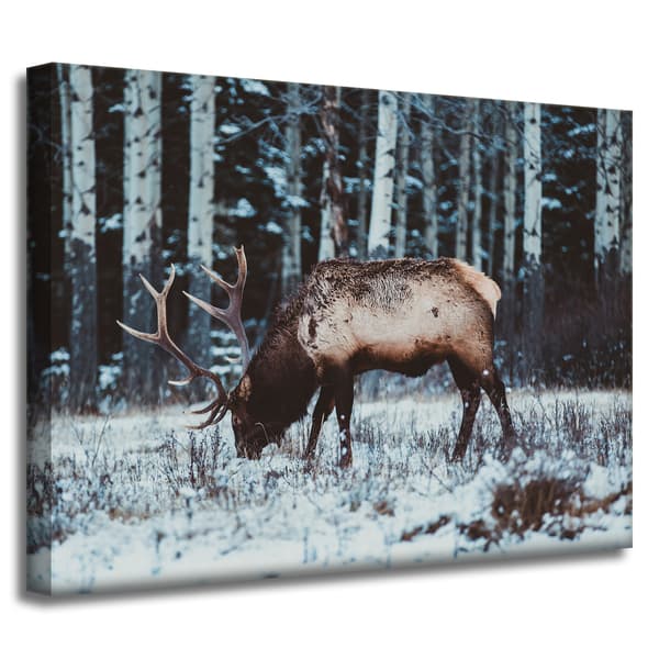 Lærredstryk Dyr Canadisk hjort 40x30