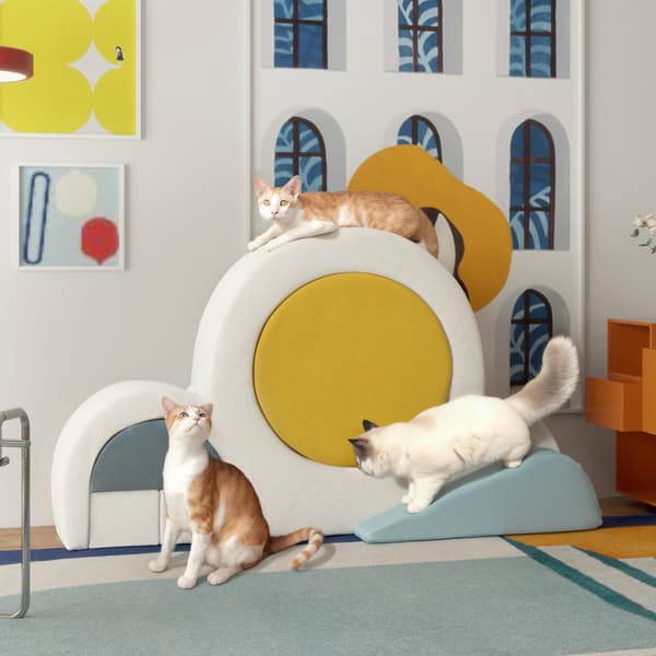 Kattklättringsstege